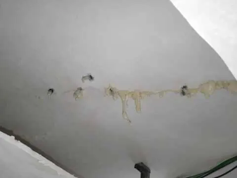 Repair Services - JS STAR waterproofing service